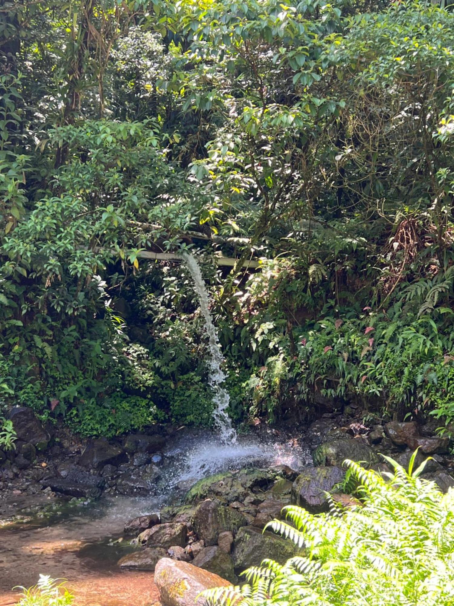 Le Ketmie Nature Et Decouverte Fond-Saint-Denis Kültér fotó