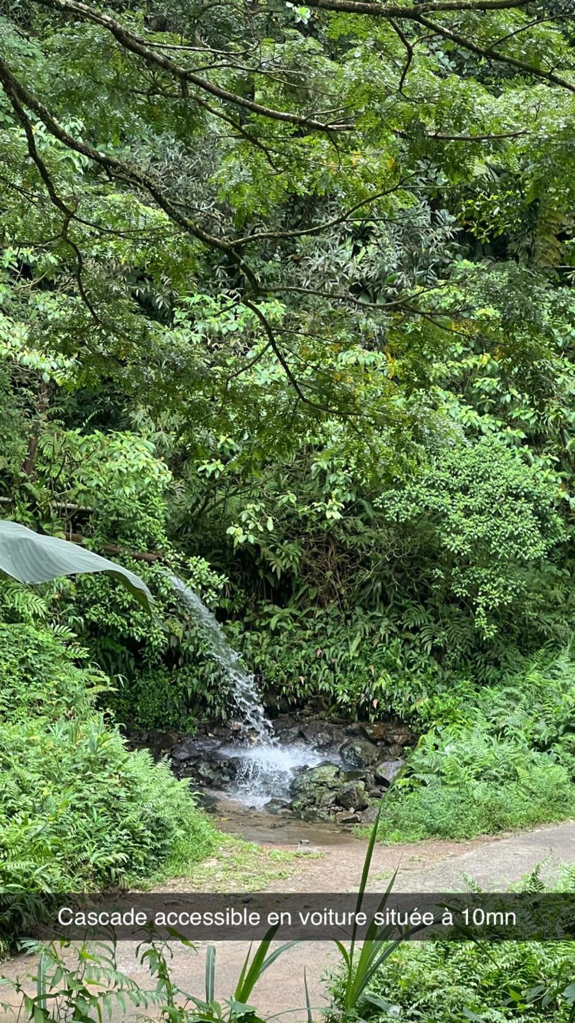 Le Ketmie Nature Et Decouverte Fond-Saint-Denis Kültér fotó